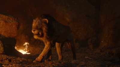 It will take some time, - The Lion King