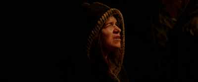 It won't protect
you from the Asatru, - The Vord