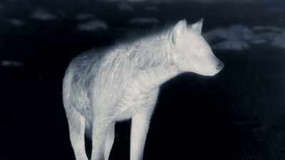 It won't rise again until the spring. - Dynasties