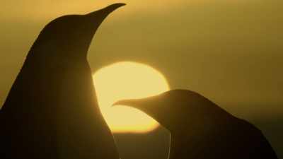 It won't rise again until the spring. - Dynasties