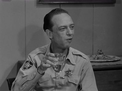 IT WORKED. - The Andy Griffith Show