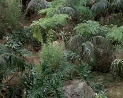 It worked. - Land of the Giants