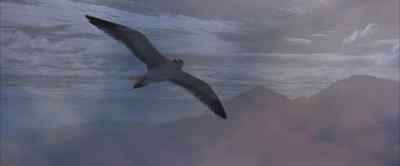 It works. - Jonathan Livingston Seagull