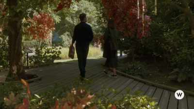 It would be a chance
at a new experience. - Autumn in the City