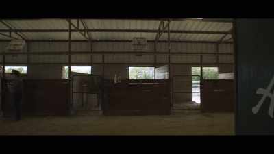 It would be a whole lot better - The Rodeo Thief
