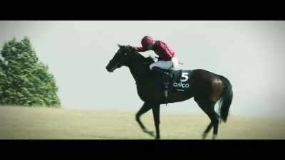 It would be great to get
breeders interested in him - Horsepower