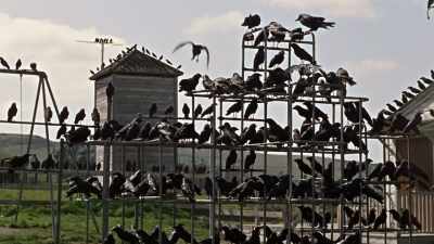 It would be terrifying - Eli Roth's History of Horror