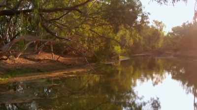 It would destroy habitat
for endangered species, - The New Corporation: The Unfortunately Necessary Sequel
