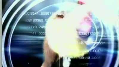 It was written and directed
by slavko martinov, - The Story of Film: A New Generation