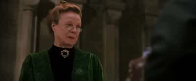 It'd be better if I transfiguredMr. - Harry Potter and the Philosopher's Stone