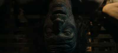 It'd be quite redundant
to carry those capacities ourselves. - Guillermo del Toro's Cabinet of Curiosities