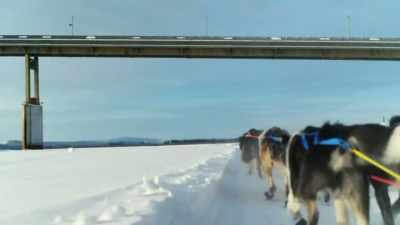 It'd be tough going if
something happened and - Life Below Zero: First Alaskans
