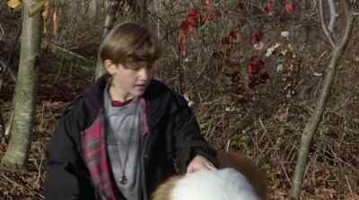 It'll be all right. It'll be fine. - Lassie