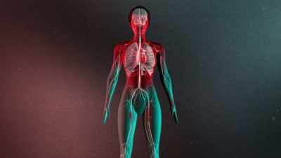 It'll prioritize the critical
organs needed for survival - The UnBelievable with Dan Aykroyd