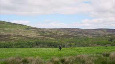 -It's 10,500 acres.
-Wow. - A Brief History of the Future