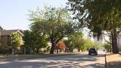 It's 108 out here. Why would
Art leave the hospital? - The Good Doctor
