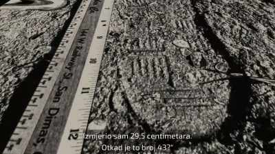 It's 12 inches long.
How do you get a size 10?" - Night Stalker: The Hunt for a Serial Killer