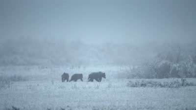 'It's -20 in Northern Canada, - A Year on Planet Earth