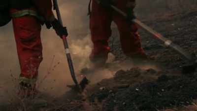 It's a bad thing,
but it's beautiful. - Fireboys