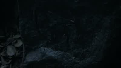 It's a badge. - Teen Wolf