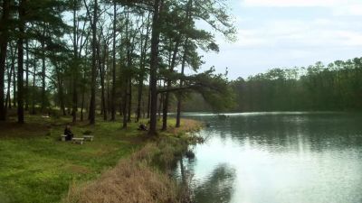 It's a beautiful day
to head out. - The Walking Dead
