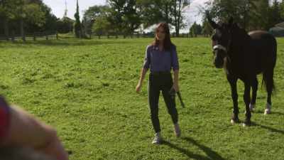 It's a beautiful horse. - Love in Wolf Creek