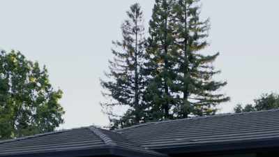 IT'S A BELIEF THAT RESONATES
FROM THOSE - The Golden State Killer: It's Not Over