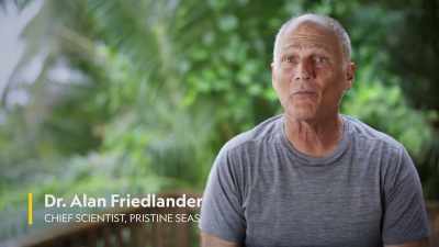 It's a big acrylic sphere - Protecting Paradise: The Story of Niue