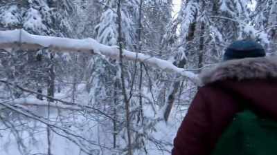 It's a big deal to get
fresh meat out here, - Life Below Zero: Next Generation