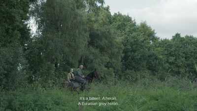 It's a bittern. A heron.
A Eurasian grey heron. - The Zone of Interest
