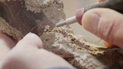 IT'S A BONE THAT WILL HELP US
IDENTIFY THE CREATURE FOR SURE. - Dino Hunters