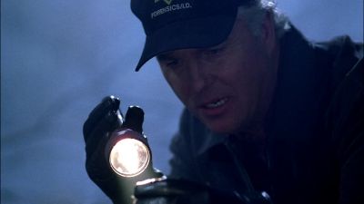 It's a carpet beetle. - CSI: Crime Scene Investigation