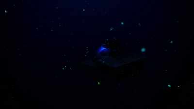 It's a chemical reaction
using oxygen in the water to create light. - Welcome to Earth