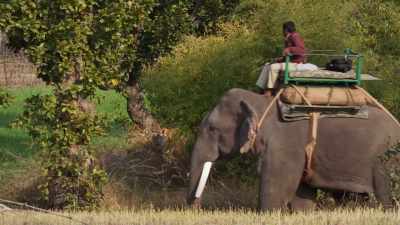 It's a conflict that Raj Bera
cannot win. - Dynasties