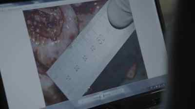 - It's a corpse.
- Oh, OK. I think I'll... - The Bridge