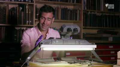 It's a device
that's used to turn 2-D into 3-D. - Scotland from the Sky