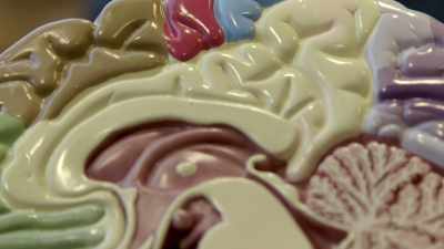 It's a fundamental neurotransmitter - Magic Medicine