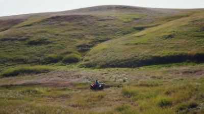 IT'S A GOOD DAY IN THE FIELD - Dino Hunters