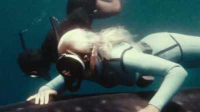 It's a great feeling, and so many people
don't really understand it - Playing with Sharks