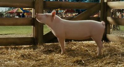 It's a great word It's just - Charlotte's Web
