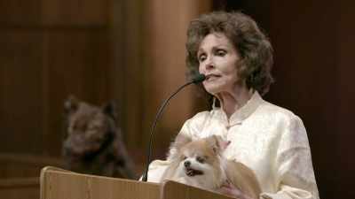 "It's a heart condition.
It's been going on
for 30 years," - Gary Busey: Pet Judge