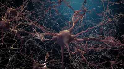 It's a highly
synchronized effort - Human: The World Within