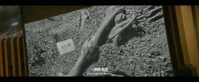 It's a human femur - The Wandering Earth II