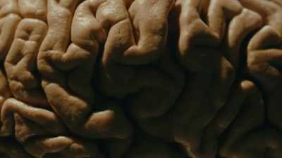 It's a labyrinth
and the principle - Almost Human