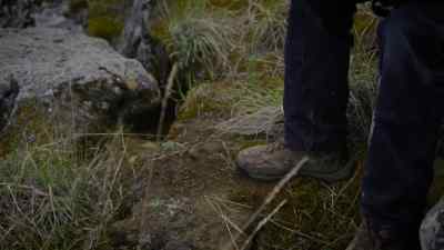 It's a little weasel. - The Last Alaskans