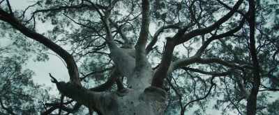 It's a long way to fall. - Carnifex