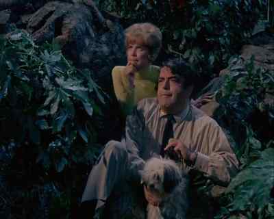 It's a long way up
to that doorbell.
Yeah. - Land of the Giants