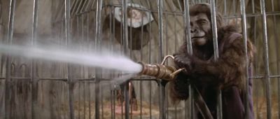 It's a mad house - Planet of the Apes