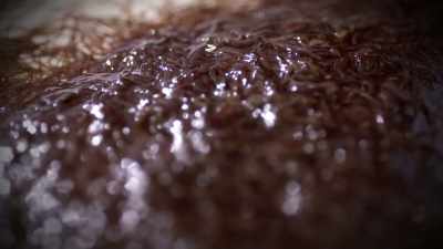 IT'S A MASS OF WORMS. - Strange Evidence