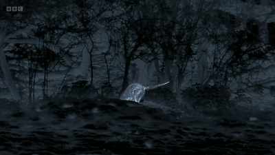 It's a mistake to think that you are
always safe in a burrow. - Wild Isles